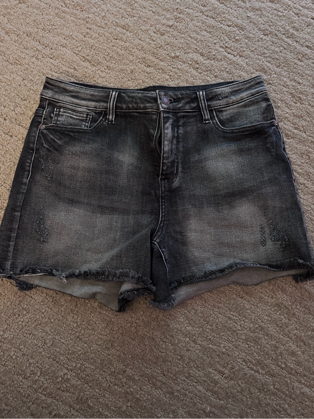 Judy Blue Washed Black Frayed Hem Denim Shorts